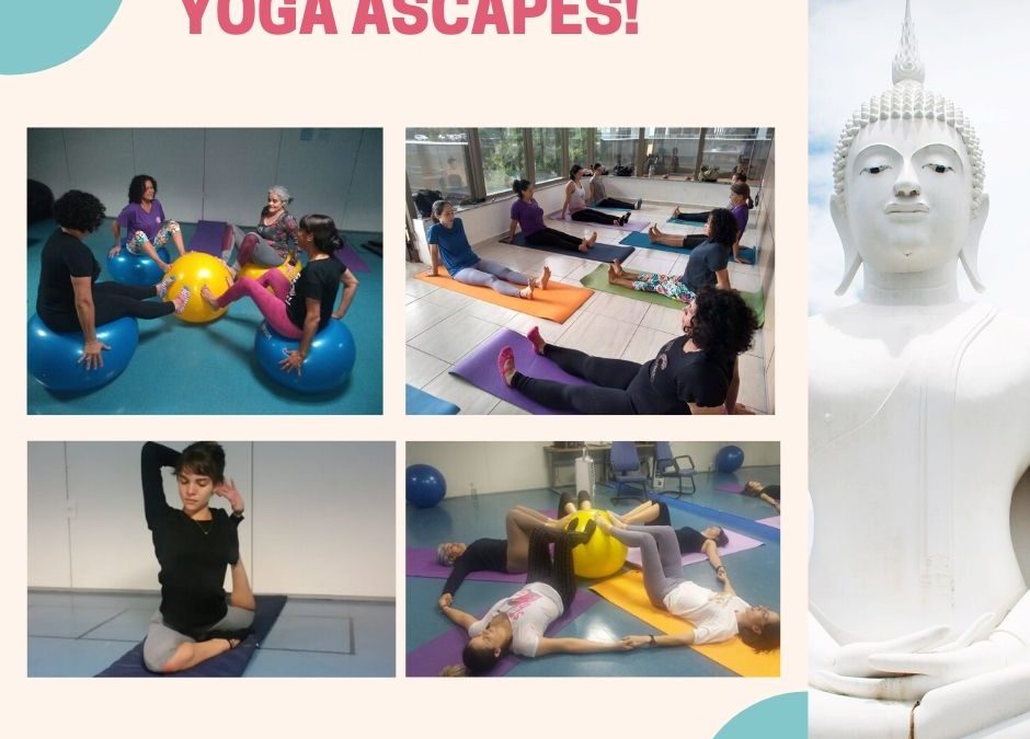 YOGA ASCAPES